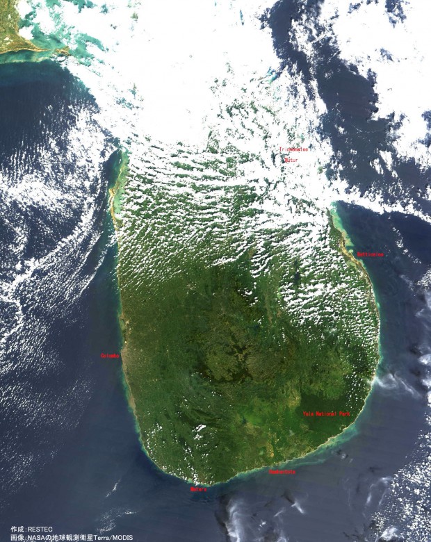 津波により茶色となったスリランカの海
