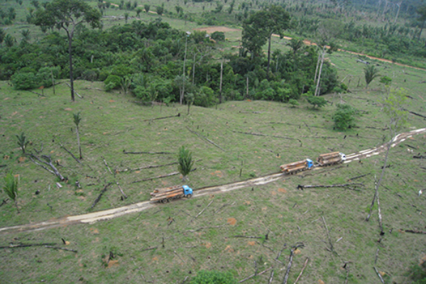 アマゾン森林保全、 違法伐採防止