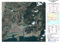 震災後の衛星画像地図