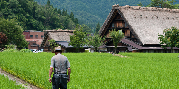 Agriculture, Forestry and Fisheries