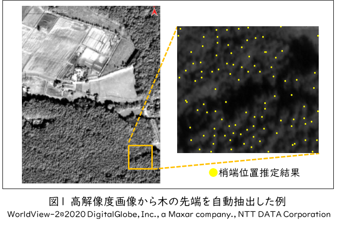 図1 高解像ああ度画像から木の先端を自動抽出した例