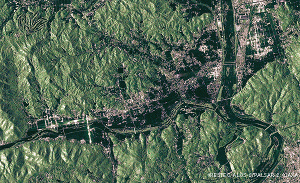 図2　岡山県倉敷市 / だいち2号（ALOS-2）/ 図1をカラー化　L-bandSAR画像　PALSAR