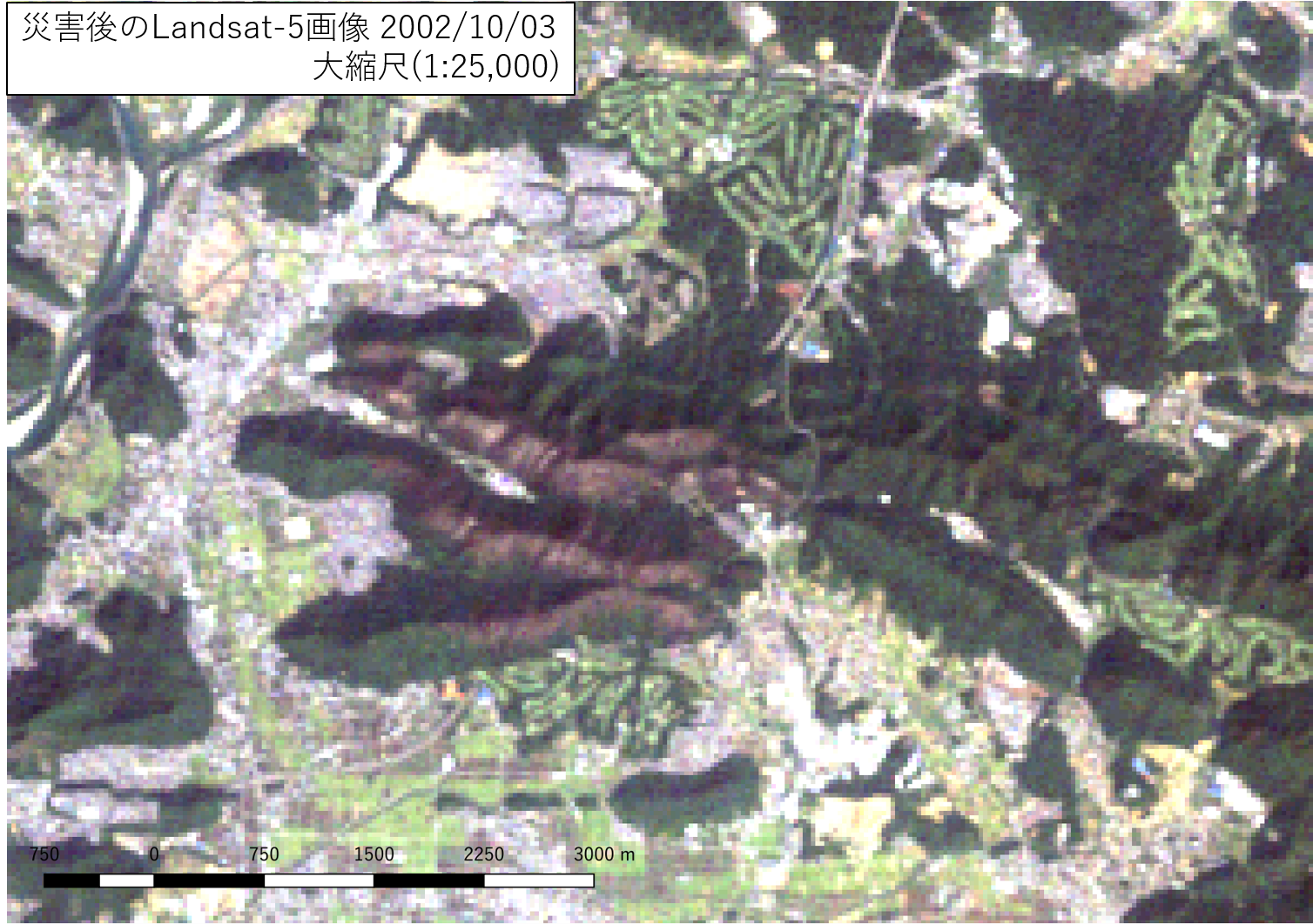 災害後のLandsat-5画像 2002/10/03 大縮尺(1:25,000)