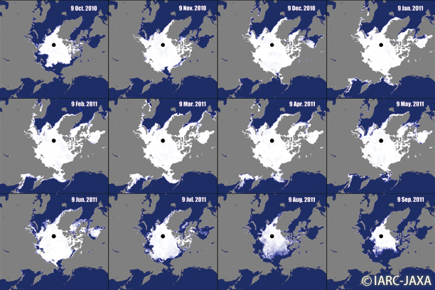 北極海の海氷分布